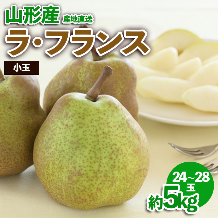 山形産 小玉ラ・フランス 約5kg FZ23-588山形県山形市12000果物・フルーツりんご・梨