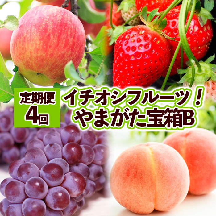 【定期便4回】イチオシフルーツ!やまがた宝箱B  FY25-822山形県山形市40000果物・フルーツいちご