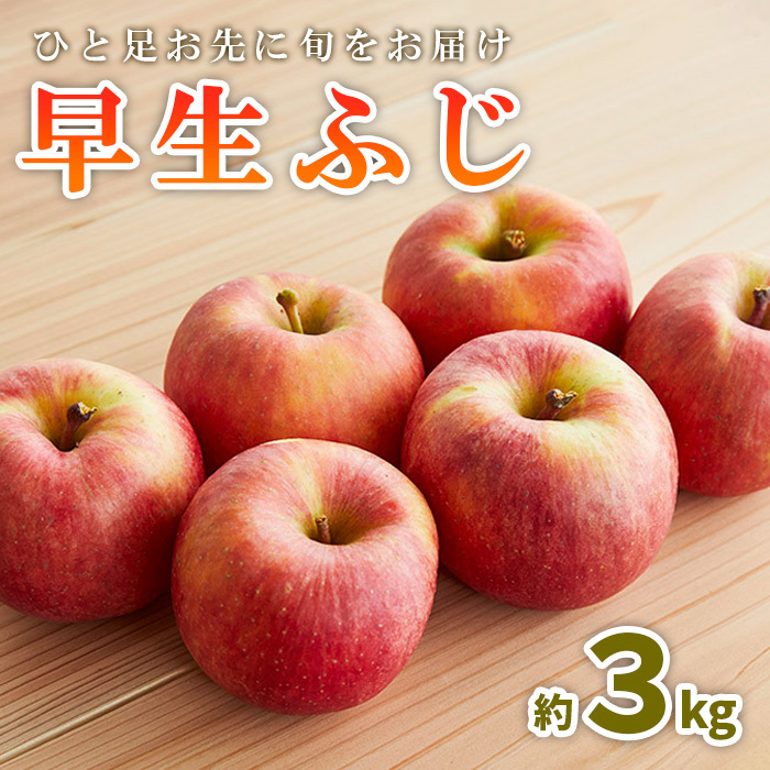 ひと足お先に旬をお届け 早生ふじ 秀品 約3kg 【令和7年産先行予約】FS23-658山形県山形市10000果物・フルーツりんご・梨