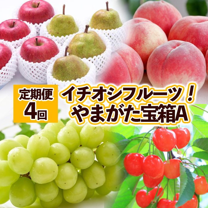 【定期便4回】イチオシフルーツ!やまがた宝箱A FY25-823山形県山形市40000果物・フルーツもも・すもも