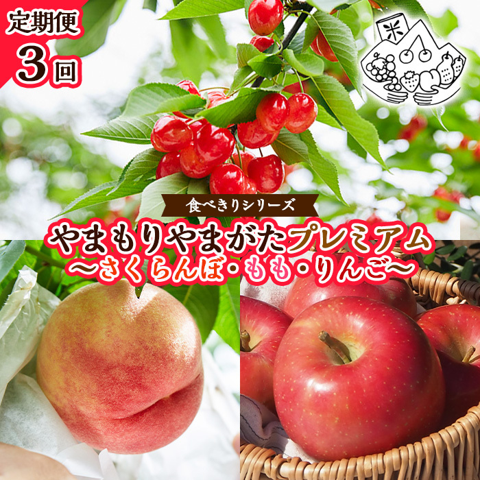 【定期便3回】★食べきりシリーズ★やまもりやまがたプレミアム〜さくらんぼ・もも・りんご〜 【令和7年産先行予約】FU23-704山形県山形市30000果物・フルーツもも・すもも