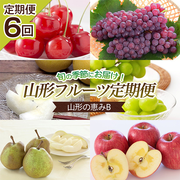 【定期便6回】山形の恵みB 【令和7年産先行予約】FU23-728山形県山形市80000果物・フルーツマスカット・ぶどう