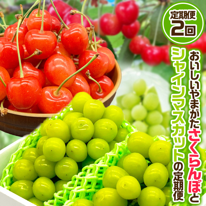 岩手県産山葡萄　2024年産　限定１点 0121131716_678f1fccb4980.jpg