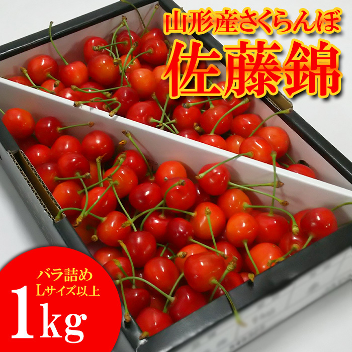 山形産 さくらんぼ 佐藤錦 1kg バラ詰め L以上 【令和8年産先行予約】FS25-501山形県山形市25000果物・フルーツさくらんぼ