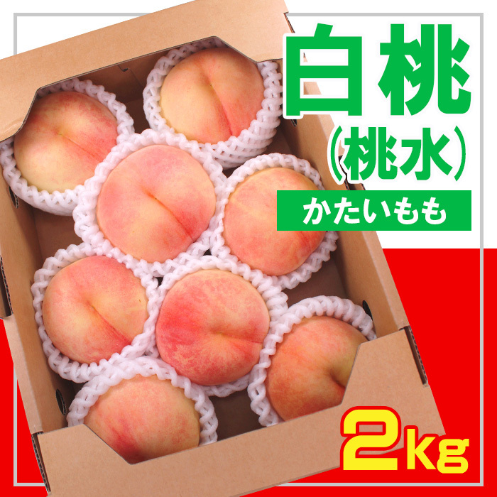 t[cR` () Gi 2kg [] yߘa7NYs\zFS23-831R`R`s12000ʕEt[cE