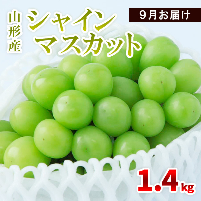 山形産 シャインマスカット 1.4kg(2〜4房) 9月お届け 【令和7年産先行予約】FS23-855山形県山形市15000果物・フルーツマスカット・ぶどう