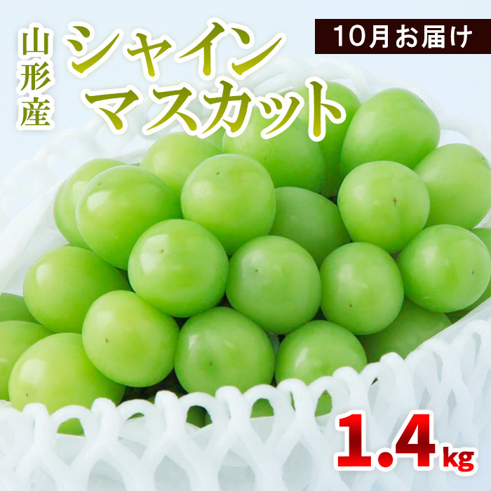 山形産 シャインマスカット 1.4kg(2〜4房) 10月お届け 【令和7年産先行予約】FS23-856山形県山形市15000果物・フルーツマスカット・ぶどう