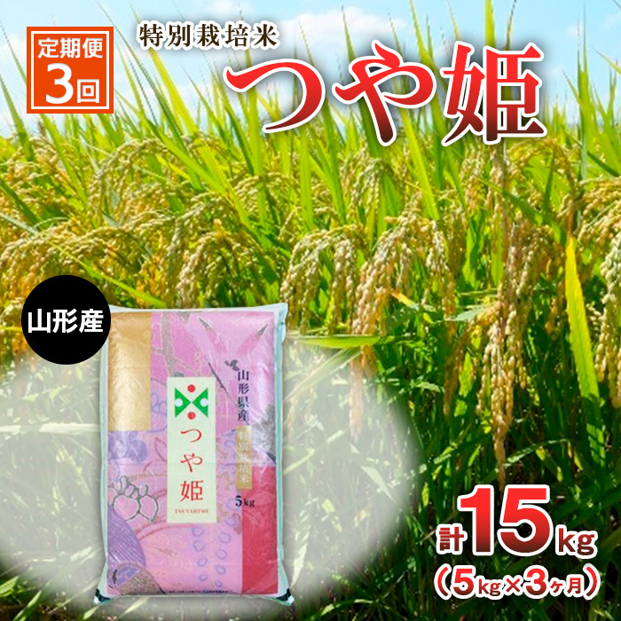 【定期便3回】特別栽培米 つや姫 5kg×3ヶ月(計15kg) FY23-748山形県山形市33000米・パン白米