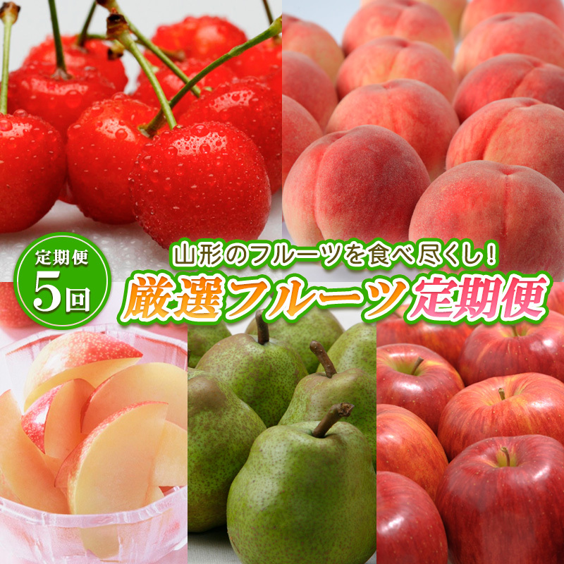 【定期便5回】山形のフルーツを食べ尽くし!厳選フルーツ定期便 【令和7年産先行予約】FS24-542山形県山形市50000果物・フルーツもも・すもも