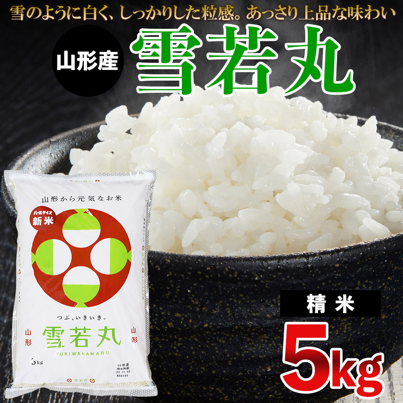 [ߘa6NY]  5kg FZ23-790R`R`s17000āEp