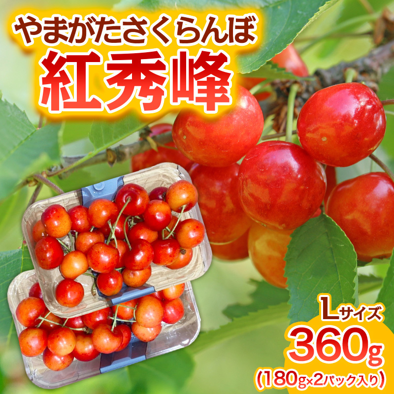 やまがた さくらんぼ 紅秀峰 Lサイズ 360g(180g×2パック入り) 1箱【令和8年産先行予約】FS25-575山形県山形市10000果物・フルーツさくらんぼ