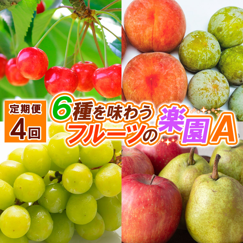 【定期便4回】6種を味わうフルーツの楽園A【令和7年産先行予約】FS24-511山形県山形市40000果物・フルーツもも・すもも