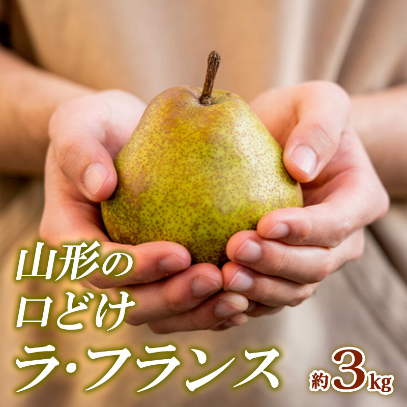 山形の口どけラ・フランス 秀品 約3kg FY24-011山形県山形市12000果物・フルーツりんご・梨