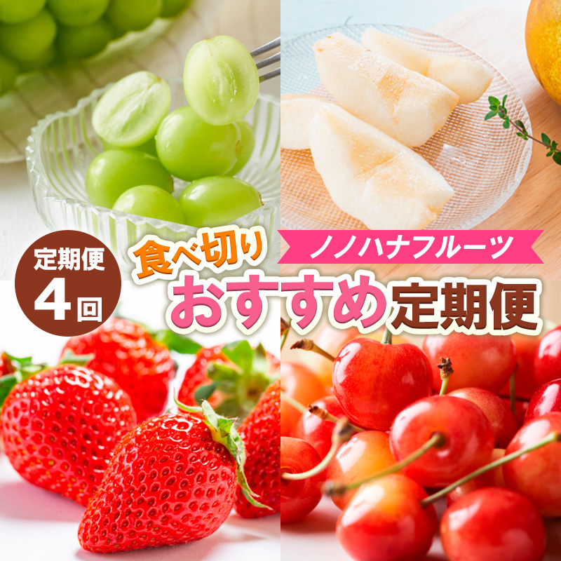 【定期便4回】ノノハナフルーツ 食べ切りおすすめ定期便 FY25-811山形県山形市50000果物・フルーツいちご