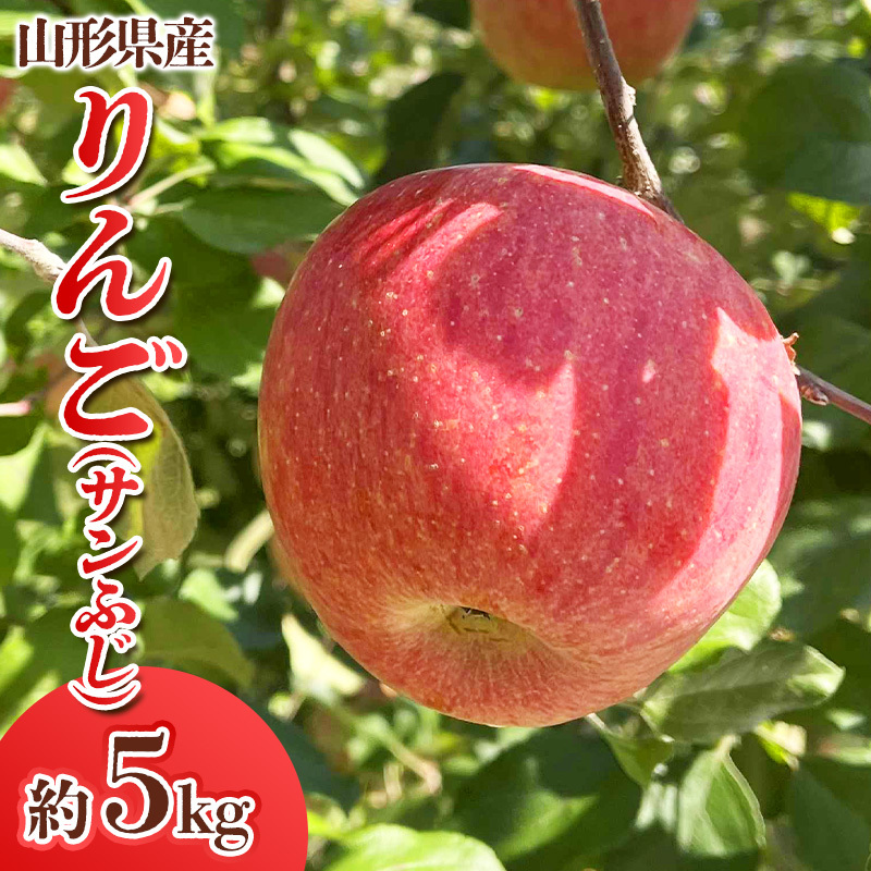 山形県産 りんご (サンふじ) 約5kg(14〜25玉) FY24-028山形県山形市12000果物・フルーツりんご・梨