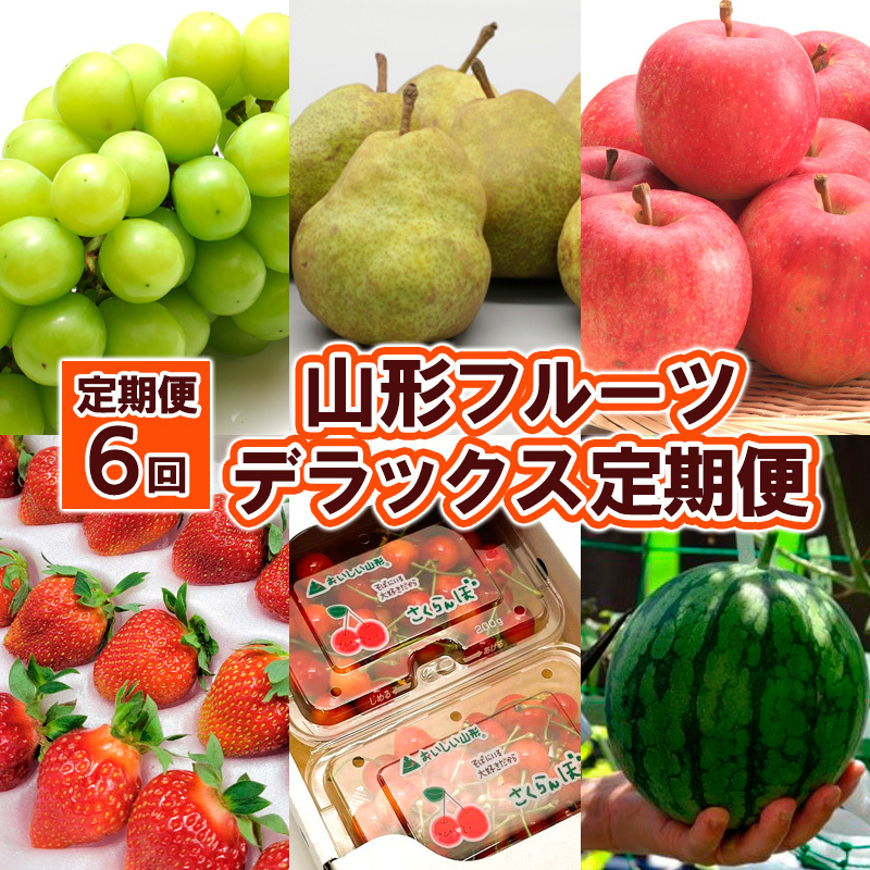 y6zR`t[c fbNX FY25-825R`R`s54000ʕEt[c}XJbgEԂǂ