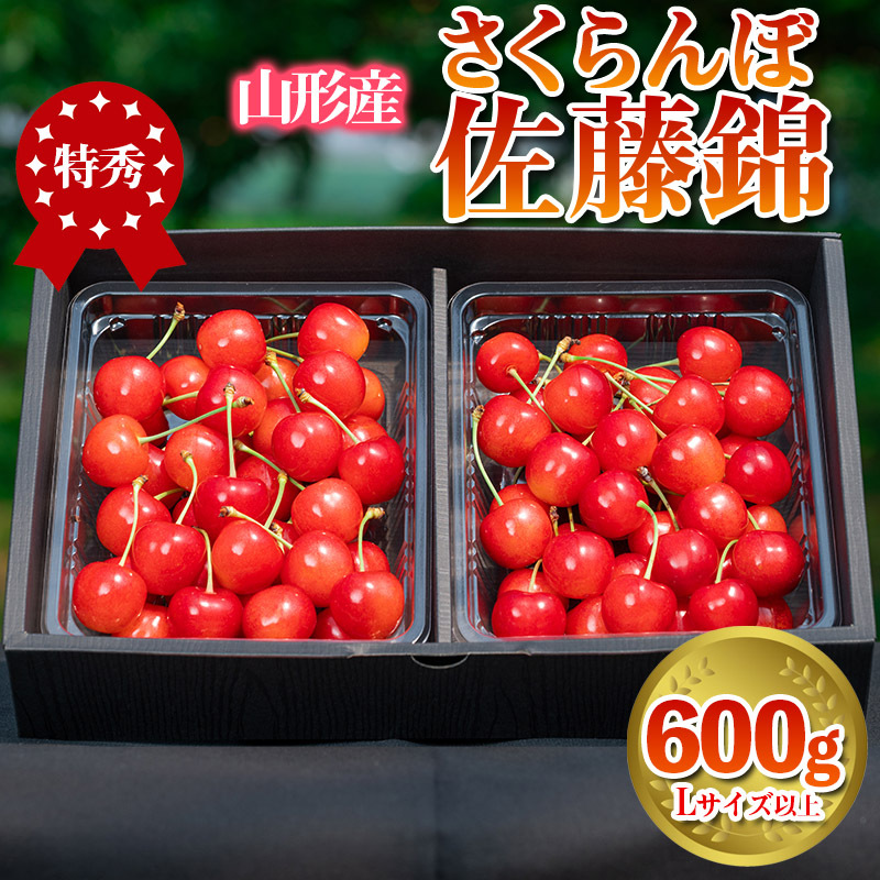  uсv 600g Gi LTCYȏ R`Yyߘa8NYs\z FS24-669R`R`s21000ʕEt[c