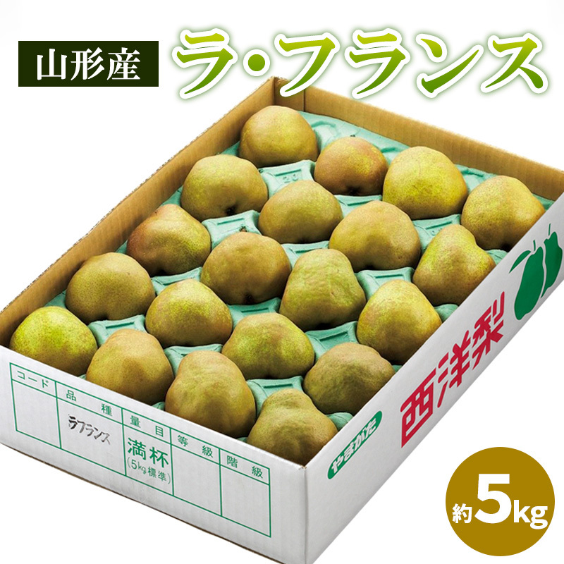 山形のラ・フランス 秀品 約5kg(12〜20個) FY25-828山形県山形市11000果物・フルーツりんご・梨