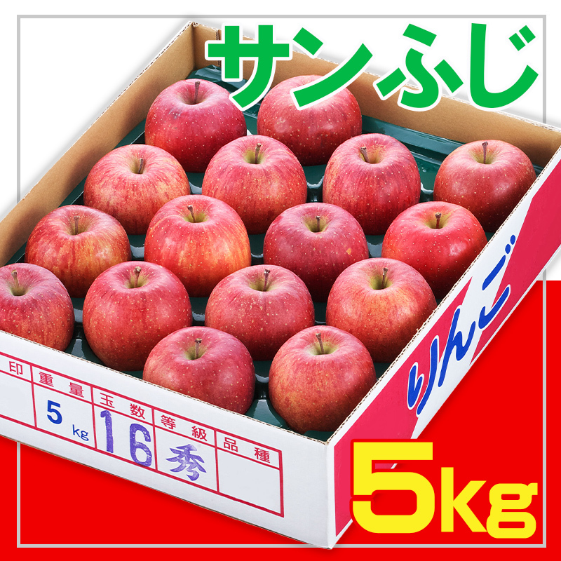☆フルーツ王国山形☆サンふじりんご 秀品 5kg FY25-889山形県山形市12000果物・フルーツりんご・梨