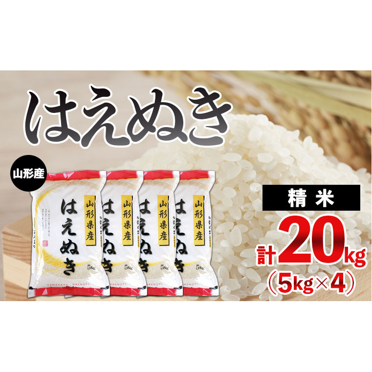 山形産 はえぬき 20kg(5kg×4)  ブランド米 山形県 山形市 FY24-399山形県山形市37000米・パン白米