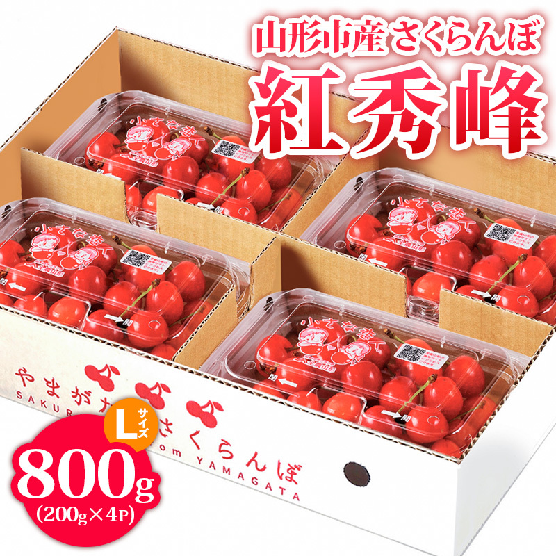 山形市産 さくらんぼ【紅秀峰】 Lサイズ 800g(200g×4P) 【令和8年産先行予約】FS24-755山形県山形市15000果物・フルーツさくらんぼ