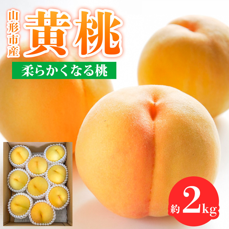 山形市産 黄桃 秀品 2kg(4〜8玉) 柔らかくなる桃 【令和7年産先行予約】FS24-758山形県山形市11000果物・フルーツもも・すもも