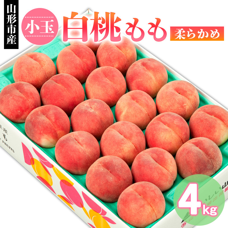 R`sY    _炩 4kg(18`22) yߘa7NYs\zFS24-751R`R`s13000ʕEt[cE