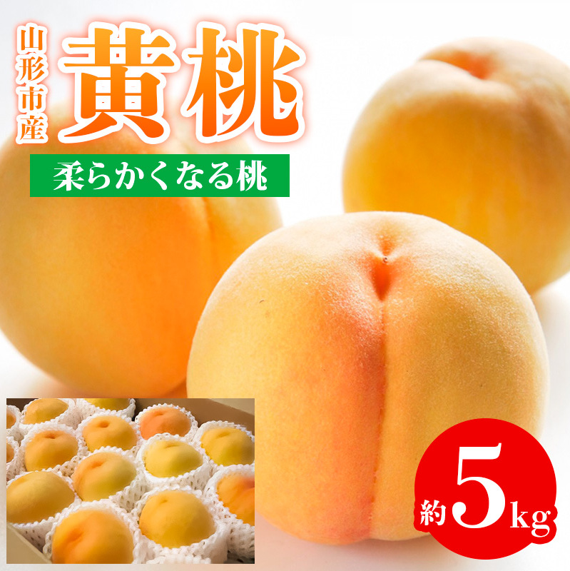 R`sY  Gi 5kg (12`20) _炩Ȃ铍 yߘa7NYs\zFS24-759R`R`s21000ʕEt[cE