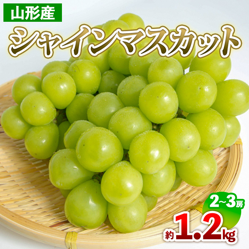 山形産 シャインマスカット 約1.2kg(2〜3房) 【令和7年産先行予約】FS24-708山形県山形市14000果物・フルーツマスカット・ぶどう