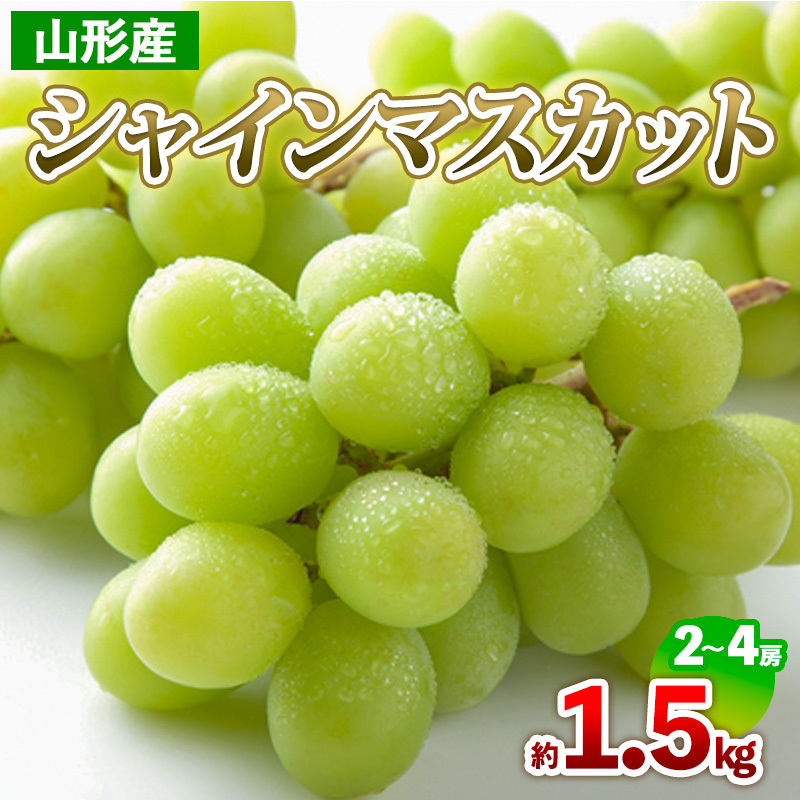 R`Y VC}XJbg 1.5kg(2`4[) yߘa7NYs\zFS24-709R`R`s16000ʕEt[c}XJbgEԂǂ