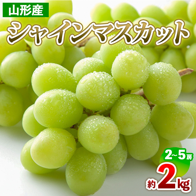山形産 シャインマスカット 約2kg(2〜5房) 【令和7年産先行予約】FS24-710山形県山形市20000果物・フルーツマスカット・ぶどう