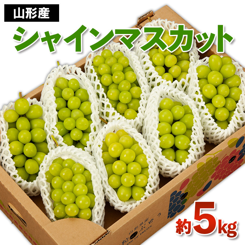 山形産 シャインマスカット 秀 約5kg 【令和7年産先行予約】FS24-748山形県山形市30000果物・フルーツマスカット・ぶどう