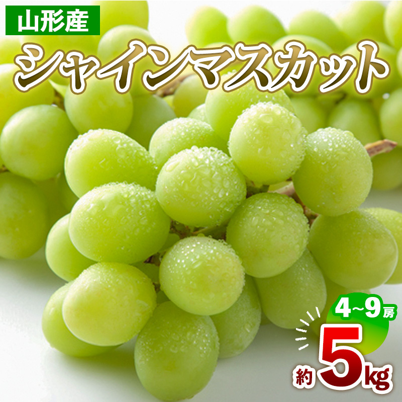 R`Y VC}XJbg 5kg(4`9[) yߘa7NYs\zFS24-711R`R`s50000ʕEt[c}XJbgEԂǂ