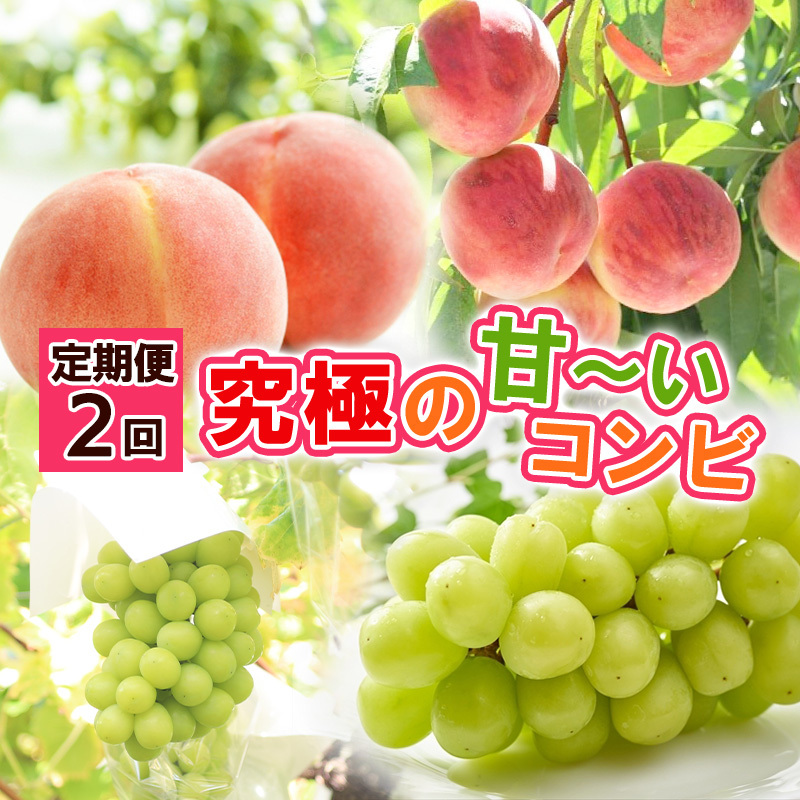 【定期便2回】究極の 甘〜いコンビ 【令和7年産先行予約】FS24-795山形県山形市39000果物・フルーツもも・すもも