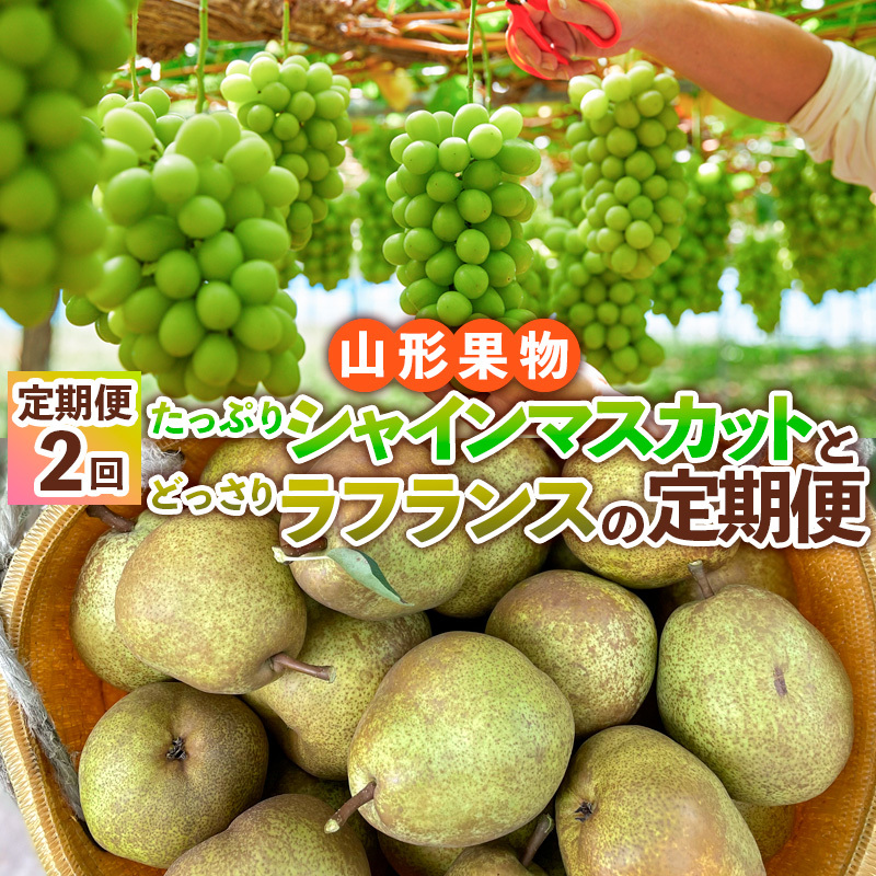 【定期便2回】山形果物 たっぷりシャインマスカットとどっさりラフランスの定期便 【令和7年産先行予約】FS24-767山形県山形市48000果物・フルーツマスカット・ぶどう
