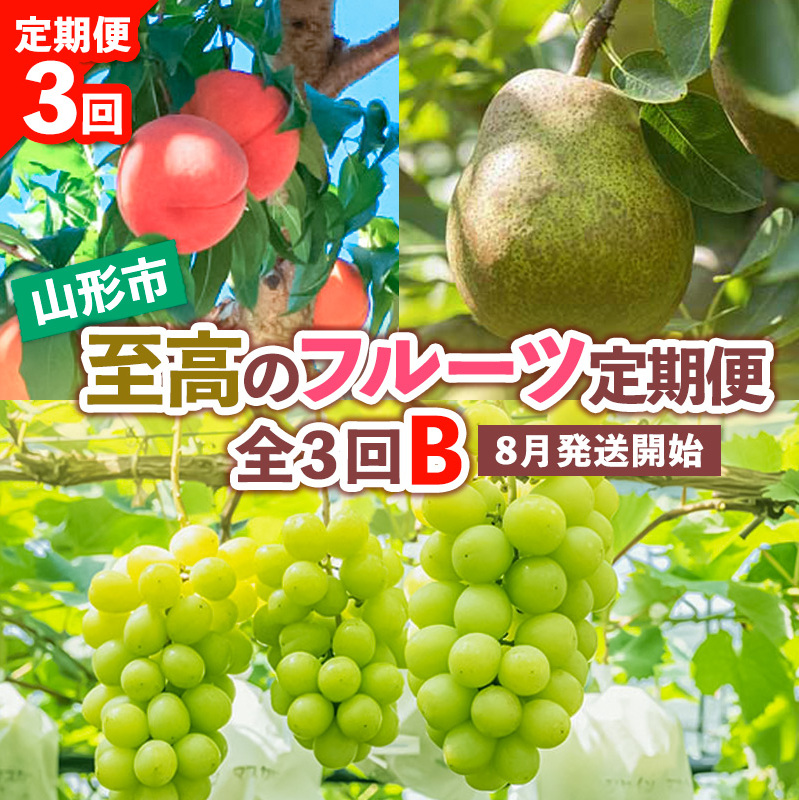 【定期便3回】山形市至高のフルーツ定期便 全3回B 8月発送開始 【令和7年産先行予約】FS24-760山形県山形市35000果物・フルーツもも・すもも