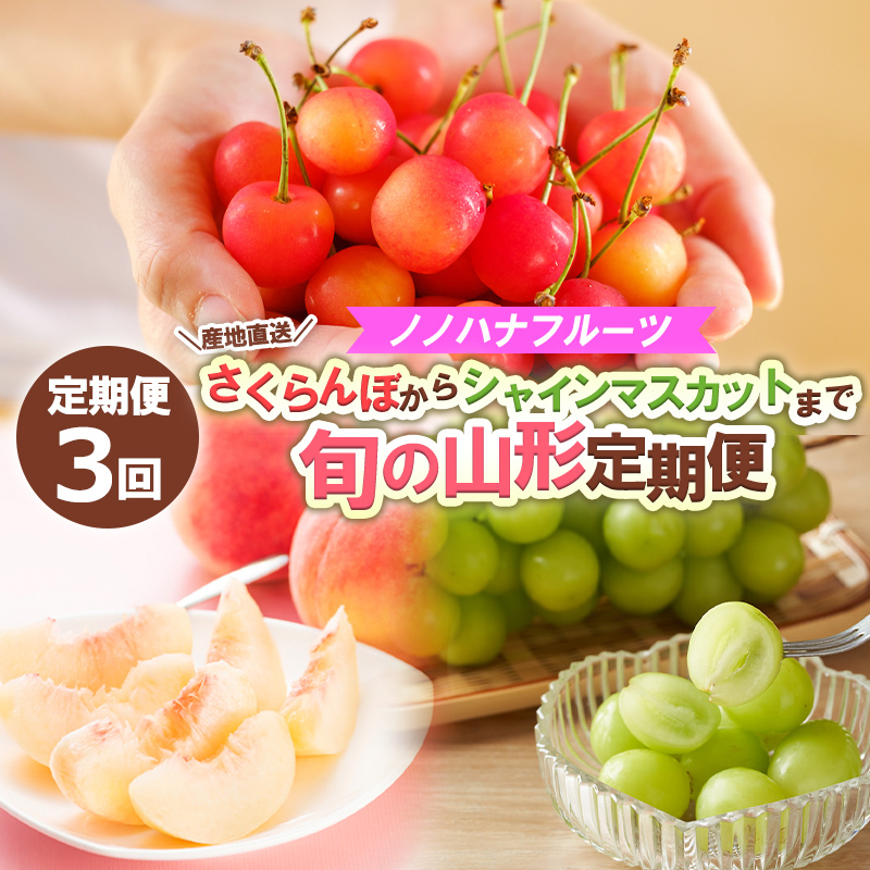 y3zmmnit[c ڂVC}XJbg܂ŁyYnz {̎R` yߘa7NYs\zFS24-718R`R`s48000ʕEt[cE