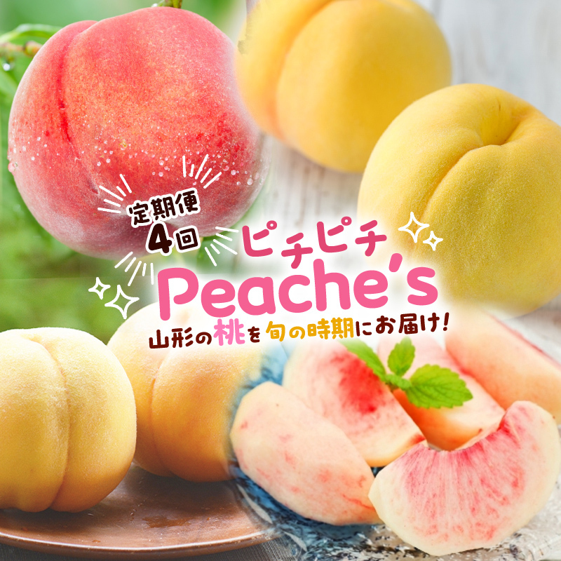 y4zs`s`Peache's yߘa7NYs\zFS24-742R`R`s32000ʕEt[cE