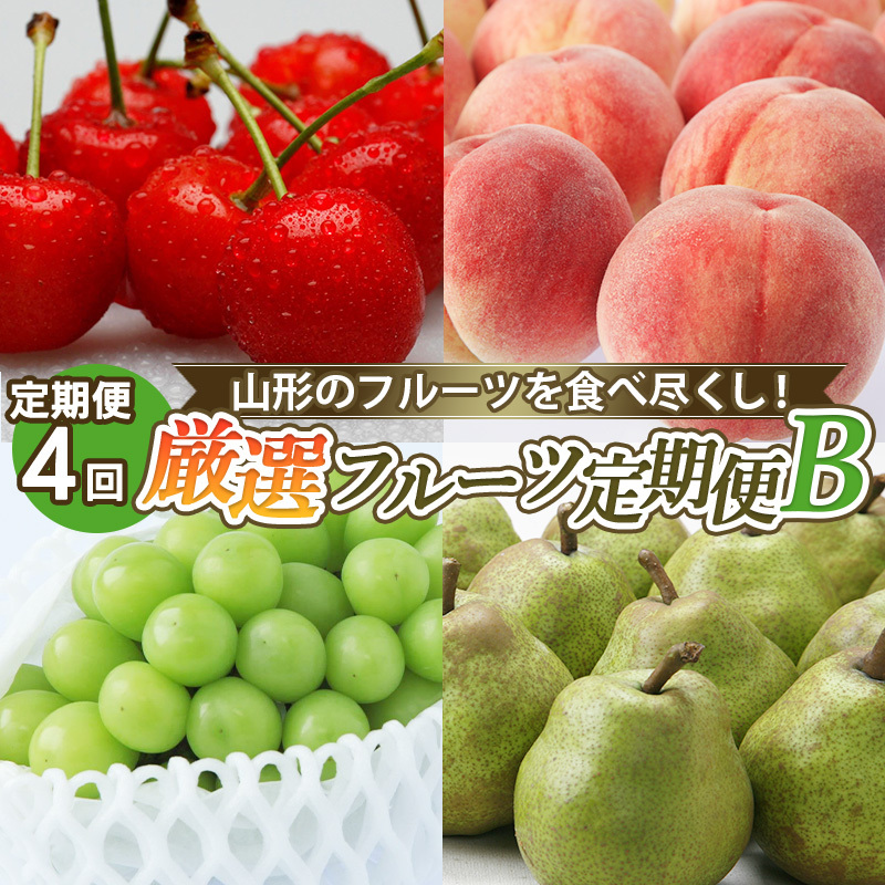 y4zR`̃t[cHאsIIt[cB yߘa7NYs\zFS24-799R`R`s40000ʕEt[cE