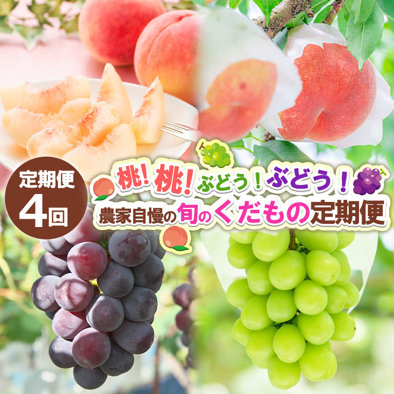 【定期便4回】桃!桃!ぶどう!ぶどう!農家自慢の旬のくだもの定期便 【令和7年産先行予約】FS24-720山形県山形市45000果物・フルーツもも・すもも