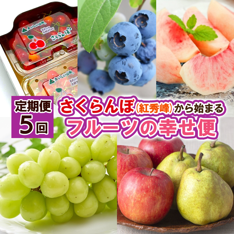 【定期便5回】さくらんぼ(紅秀峰)から始まるフルーツの幸せ便 【令和7年産先行予約】FS24-739山形県山形市50000果物・フルーツもも・すもも