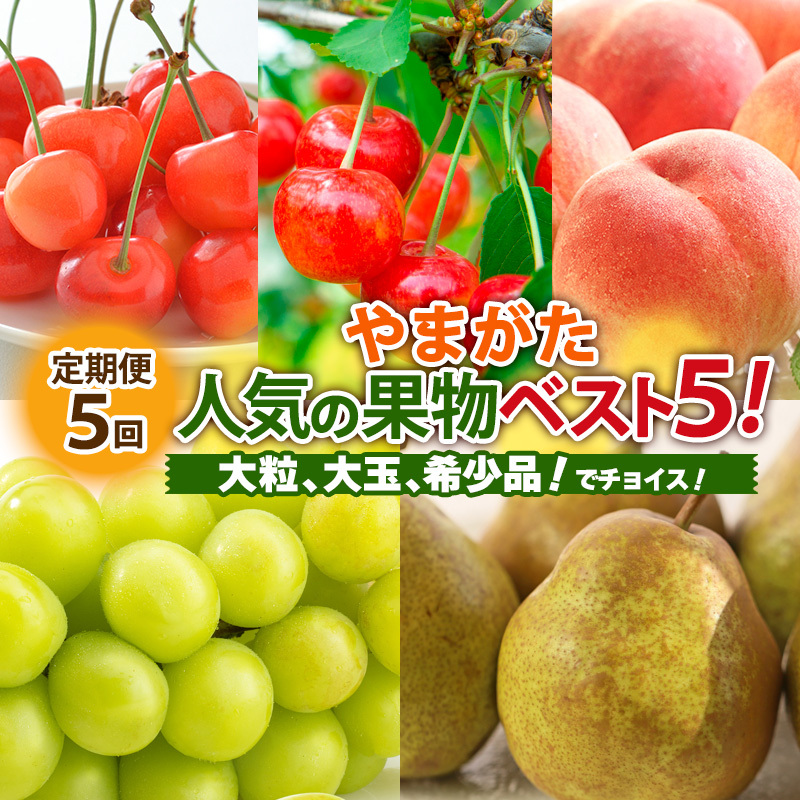 【定期便5回】やまがた人気の果物ベスト5!大粒、大玉、希少品!でチョイス! 【令和7年産先行予約】FS24-782山形県山形市60000果物・フルーツもも・すもも