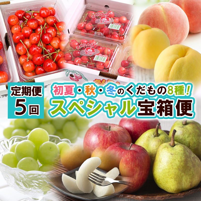 【定期便5回】スペシャル宝箱便 【令和7年産先行予約】FS24-792山形県山形市100000果物・フルーツもも・すもも