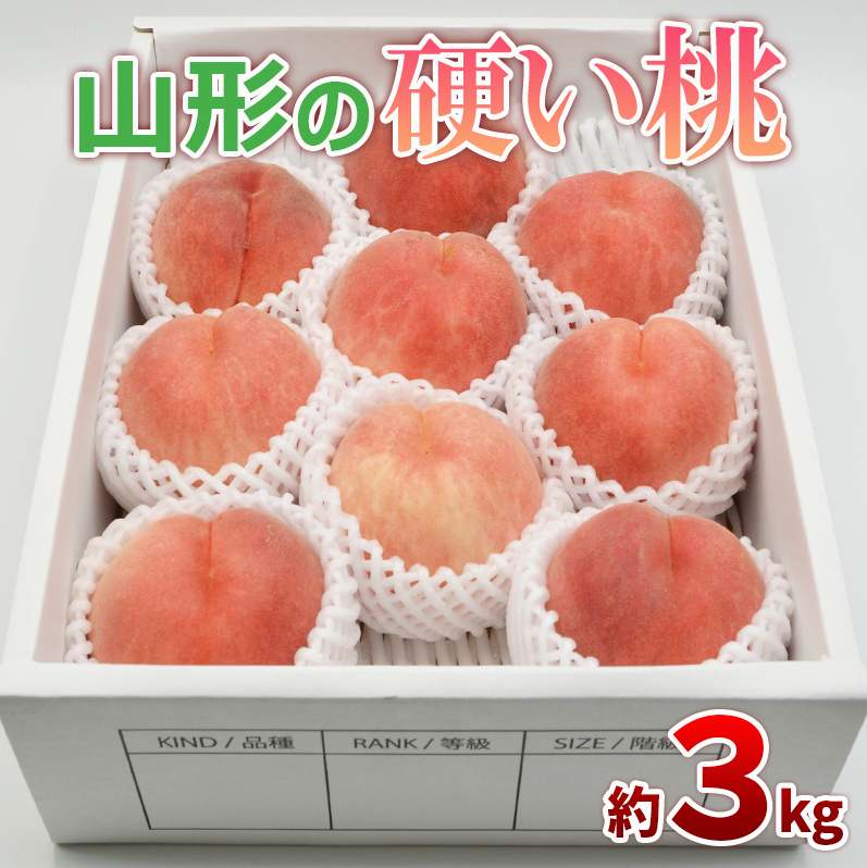 R`̍d Gi 3kg(5`13) [ł] yߘa7NYs\zFS24-806R`R`s12000ʕEt[cE