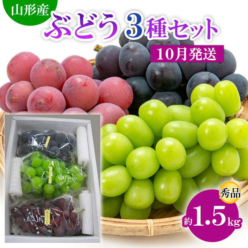 R`sY Ԃǂ3Zbg G 1.5kg[10] yߘa7NYs\zFS24-812R`R`s14000ʕEt[c}XJbgEԂǂ