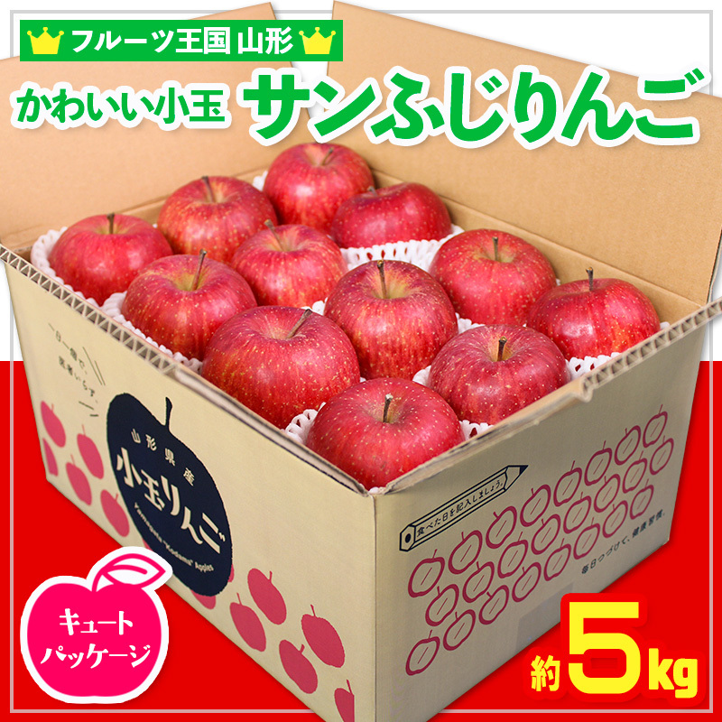 t[cR`킢 ʃTӂ 5kg 24 L[gpbP[W FY24-515R`R`s10000ʕEt[c񂲁E