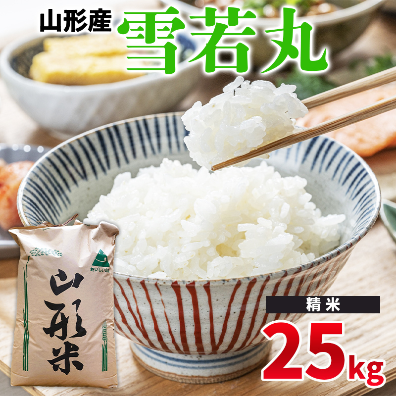 ߘa6NY R`Y |  25kg |yāz FY24-524R`R`s65000āEp