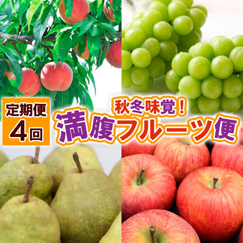 【定期便4回】秋冬味覚!満腹フルーツ便 FY25-020山形県山形市55000果物・フルーツもも・すもも