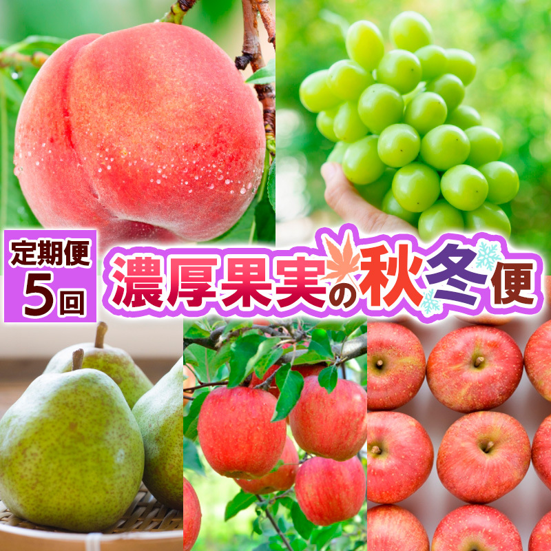 y5zZʎ̏H~ FY25-021R`R`s53000ʕEt[cE