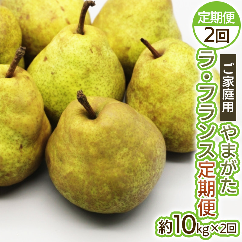 y2zƒp ܂EtX10kg×2 FY25-036R`R`s38000ʕEt[c񂲁E